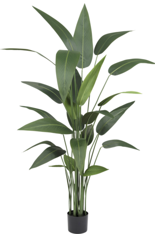 Kunstig plante Heliconia 150 cm