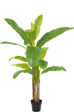 Kunstig plante Banantræ 150 cm