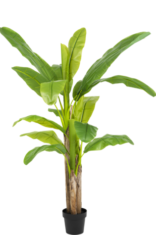 Kunstig plante Banantræ 200 cm