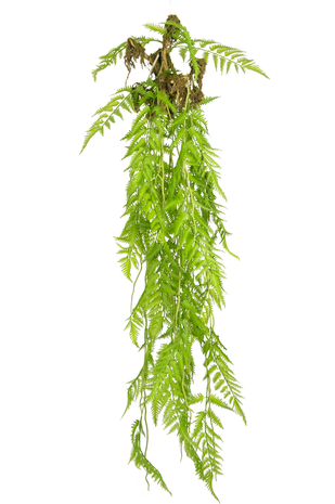 Kunstig hængeplante Fern Deluxe 120 cm