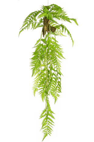 Kunstig hængeplante Fern Deluxe 100 cm
