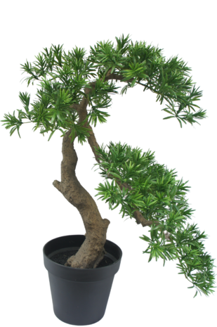 Kunstig Podocarpus bonsai 75 cm