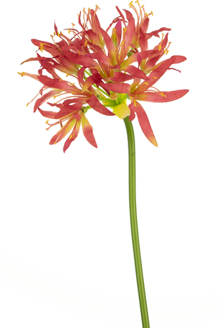 Kunstig blomst Nerine 70 cm fuchsia