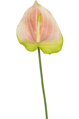 Kunstig blomst Anthurium 65 cm pink