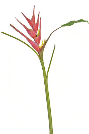 Kunstig blomst Heliconia 90 cm fuchsia