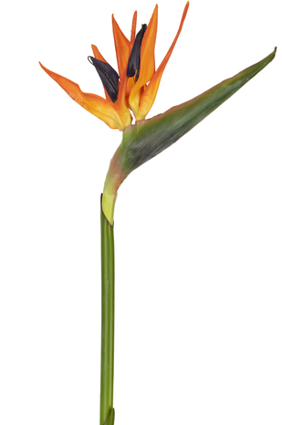Kunstig blomst Strelitzia 80 cm rød/lilla