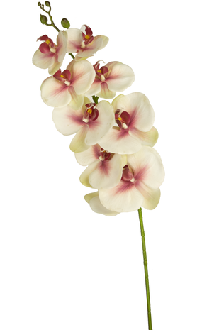 Kunstig blomst Orchid Real Touch Deluxe 105 cm pink/hvid