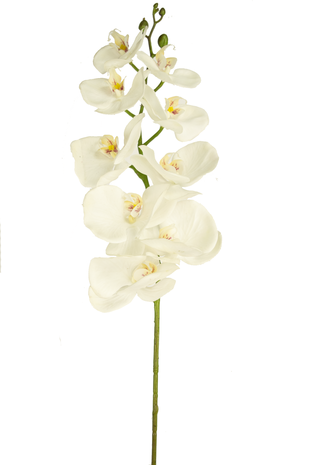 Kunstig blomst Orchid Real Touch Deluxe 105 cm hvid/gul
