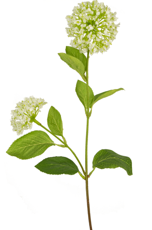 Kunstig blomst Snowball/Viburnum 70 cm grøn/hvid