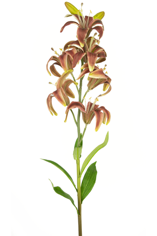 Kunstig blomst Martagon Lily 78 cm fuchsia
