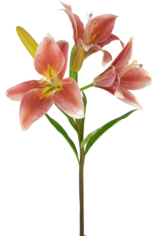 Kunstig blomst Asiatisk Lilje 66 cm gammel pink
