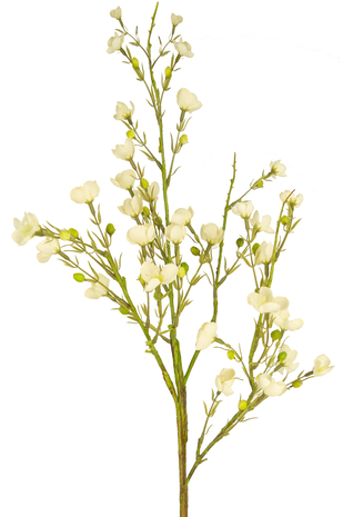 Kunstig blomst Wild Waxflower 85 cm creme