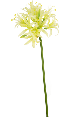 Kunstig blomst Nerine 70 cm grøn