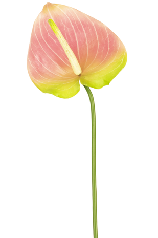 Kunstig blomst Anthurium 65 cm grøn/lyserød