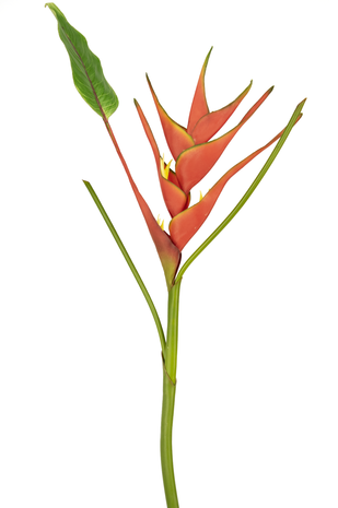 Kunstig blomst Heliconia 90 cm rød