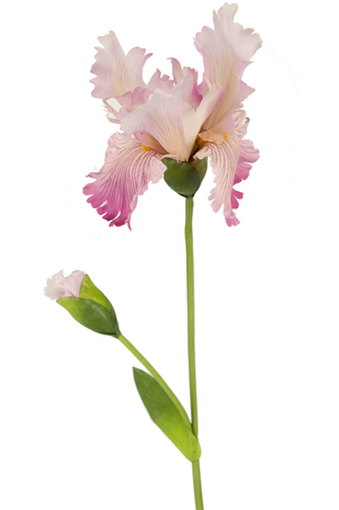 Kunstig blomst Iris 80 cm pink