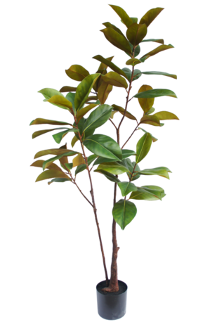 Kunstig plante Yulania træ 150 cm