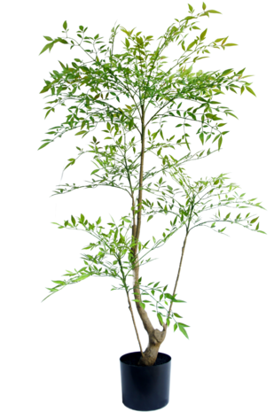 Kunstig plante Ruscus 120 cm
