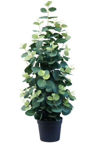 Kunstig plante Eucalyptus 61 cm