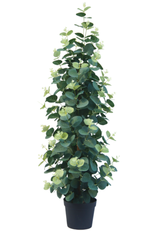 Kunstig plante Eucalyptus 76 cm