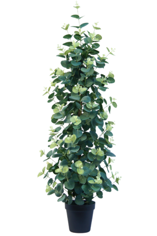 Kunstig plante Eucalyptus 91 cm