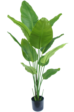 Kunstig plante Strelitzia 150 cm