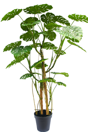 Kunstig plante Monstera 240 cm