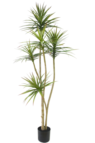 Kunstig plante Dracaena Fragnans 180 cm