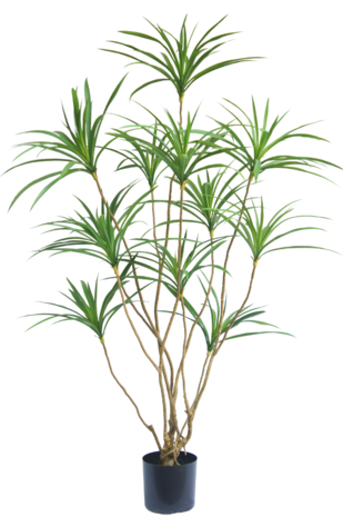Kunstig plante Dracaena 150 cm