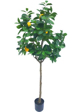 Kunstigt citrontræ 165 cm