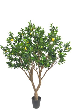 Kunstigt citrontræ 250 cm