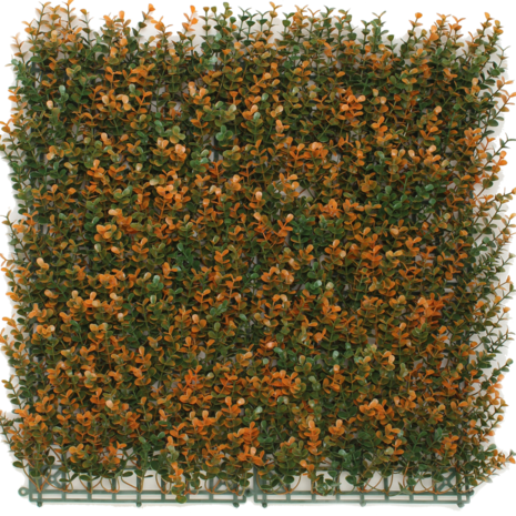 Kunstig hæk Buxus orange 50x50 cm UV