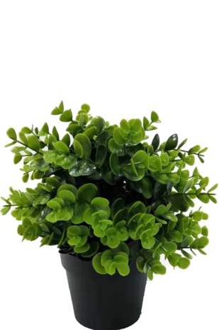 Kunstig plante Grøn i potte 22 cm UV