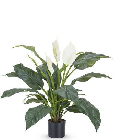 Hvid kunstig Spathiphyllum 85cm