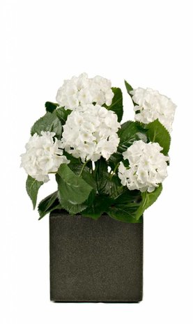 Kunstig hvid hortensia 40cm med potte