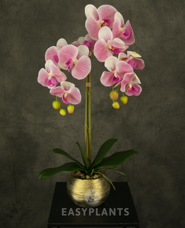 Kunstig orkidé 56 cm mørk pink i gylden potte
