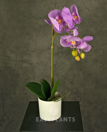 Kunstig orkidé 42 cm pink i hvid potte