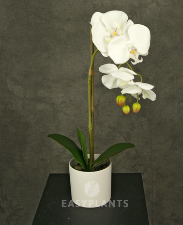 Kunstig orkidé 42 cm hvid i hvid potte