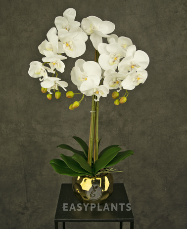 Kunstig orkidé 52 cm hvid i gylden potte