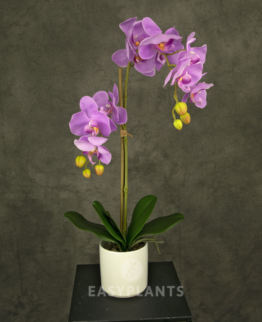 Kunstig orkidé 52 cm pink i hvid potte