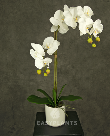 Kunstig orkidé 52 cm hvid i hvid potte