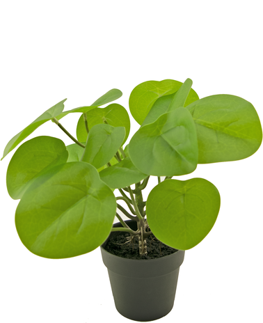 Kunstig pandekageplante 27 cm
