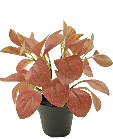 Kunstig plante Rohdea 28 cm rød