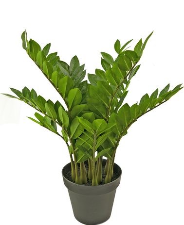 Kunstig plante Zamioculcas 70 cm