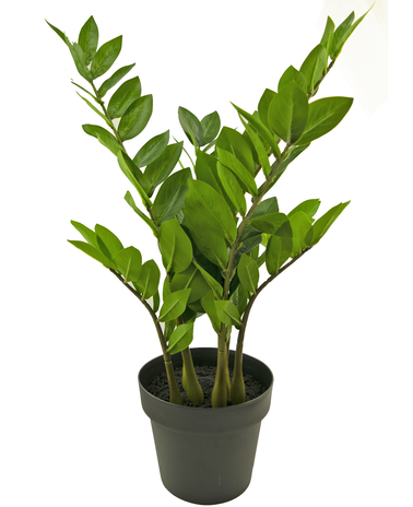 Kunstig plante Zamioculcas 65 cm