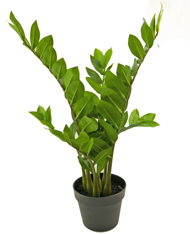 Kunstig plante Zamioculcas 65 cm