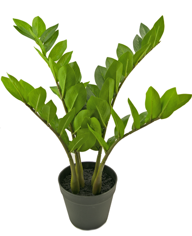 Kunstig plante Zamioculcas 55 cm