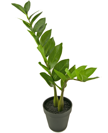 Kunstig plante Zamioculcas 50 cm