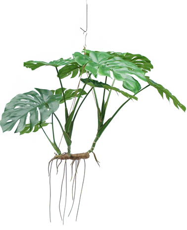 Kunstig hængeplante Monstera 130 cm XL