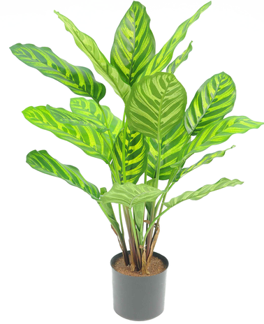 Kunstig plante Calathea Makoyana 55 cm